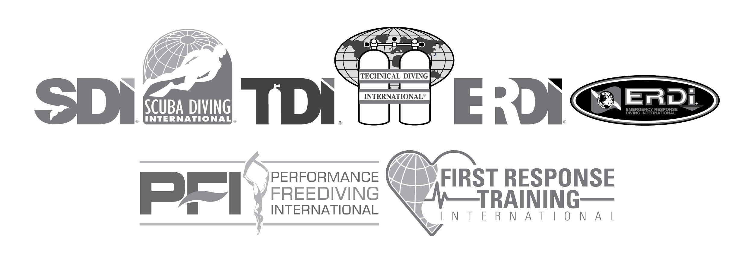 TDI-SDI-ERDI-PFI-First-Response-Grey-Combo-Logos-Transparent